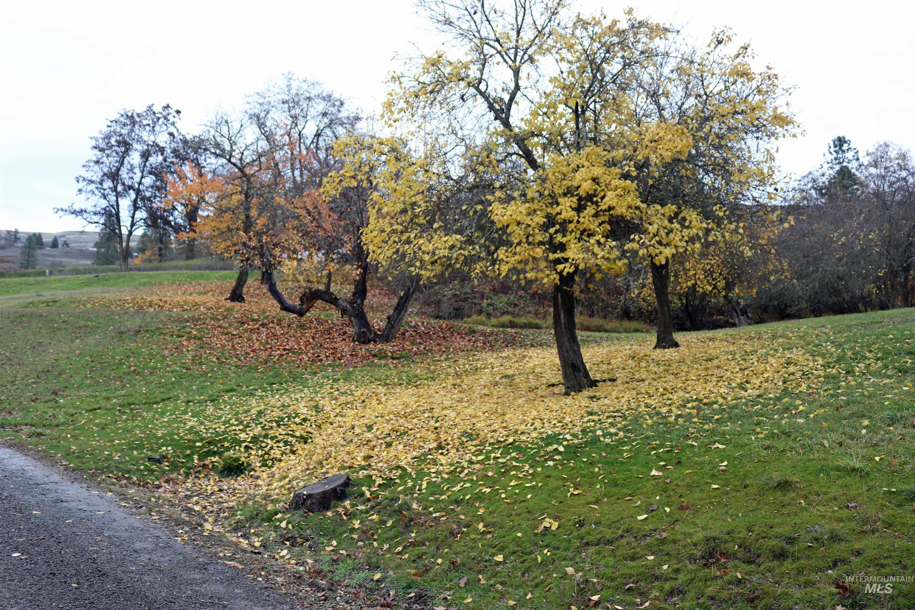 20044 Orchard Lane Lenore, ID 83541 - Photo 44 of 50