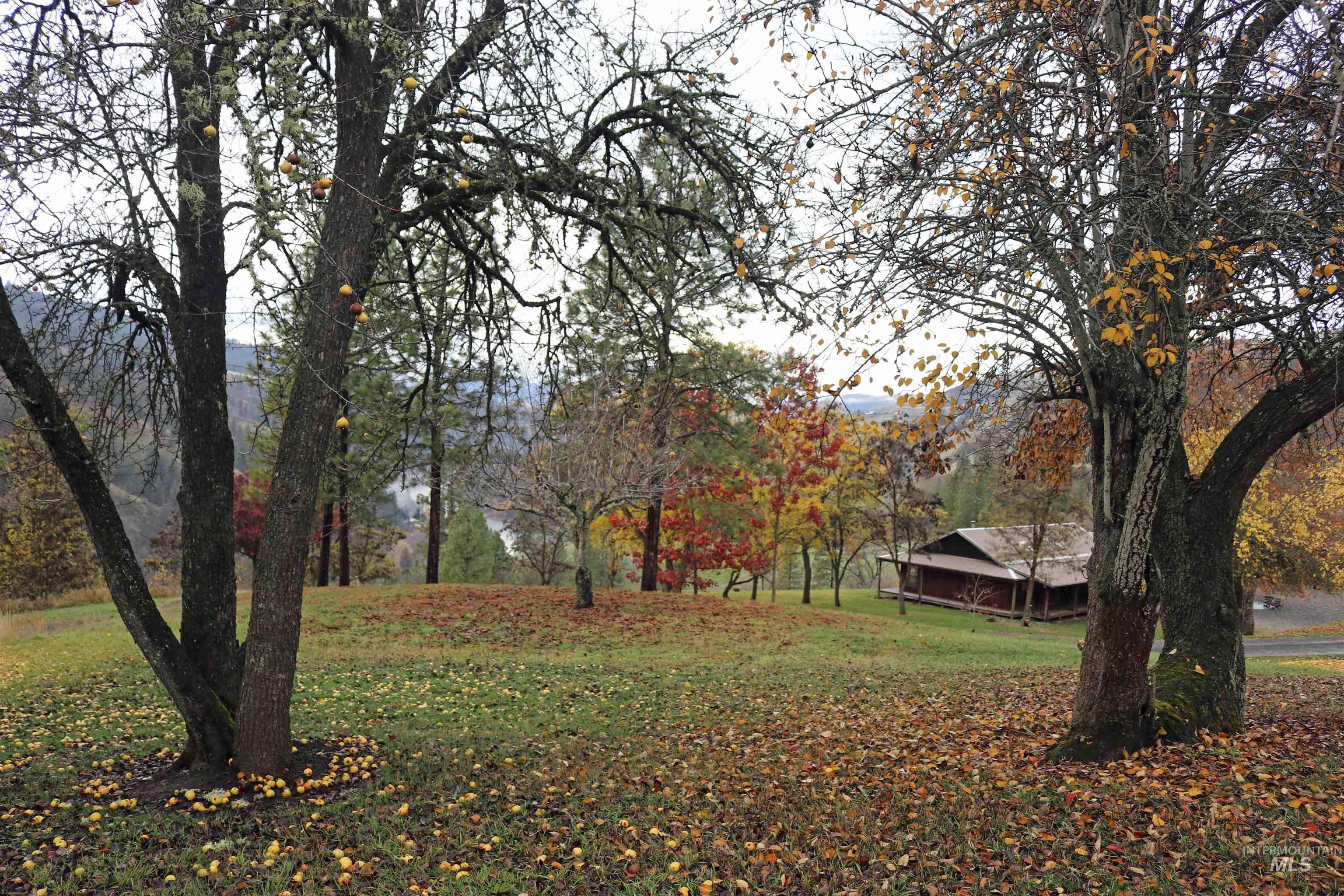 20044 Orchard Lane Lenore, ID 83541 - Photo 46 of 50