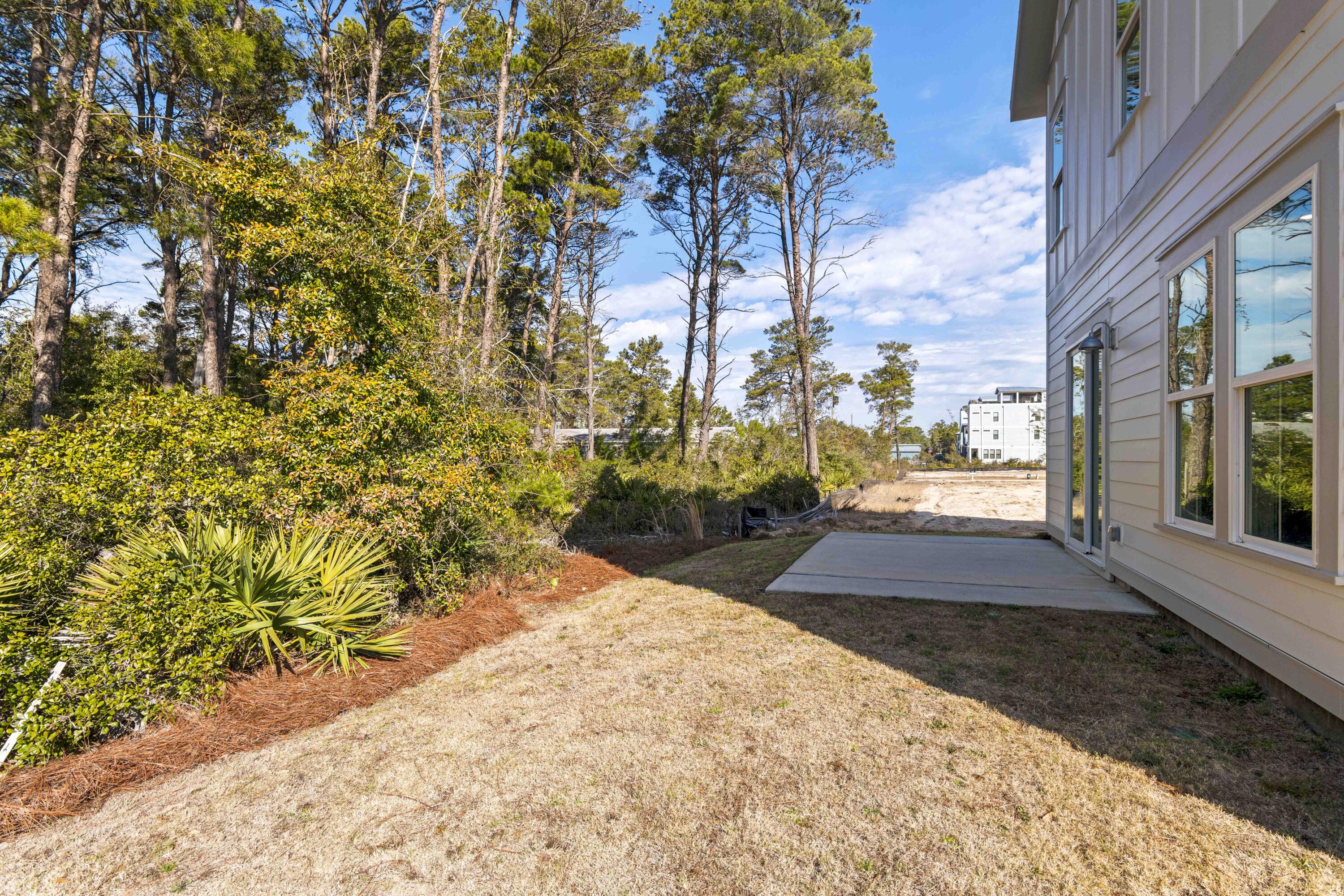 55 Nautilus Coast Dr Inlet Beach, Unit LOT 6 Inlet Beach, FL 32461 - Photo 17 of 42 Backyard