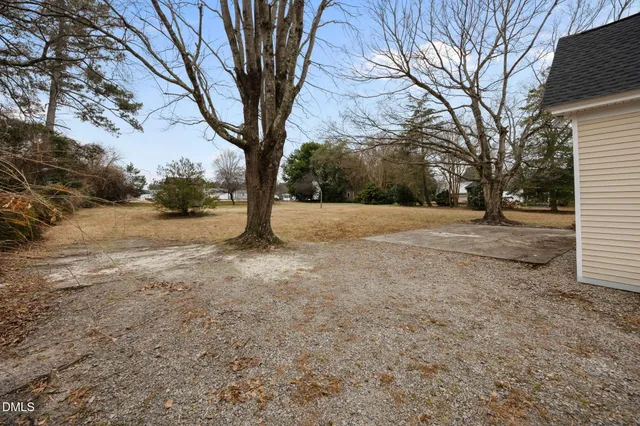 a view of dirt yard with a tree