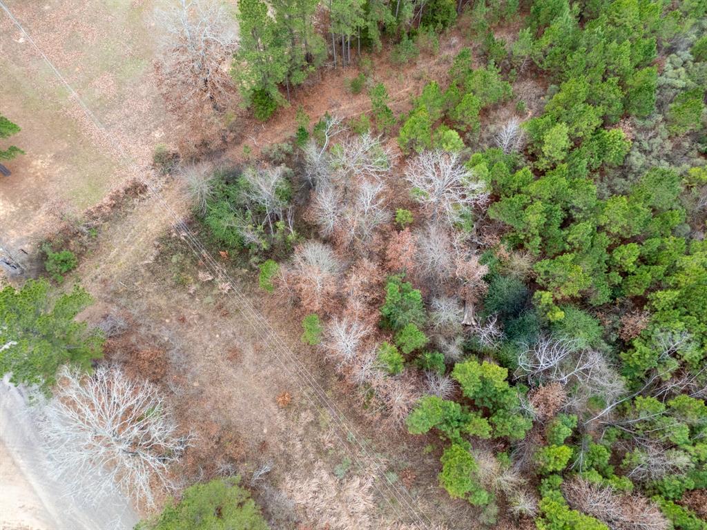 0 Blocker Road Marshall, TX 75672 - Photo 7 of 24 a view of a yard with a plant