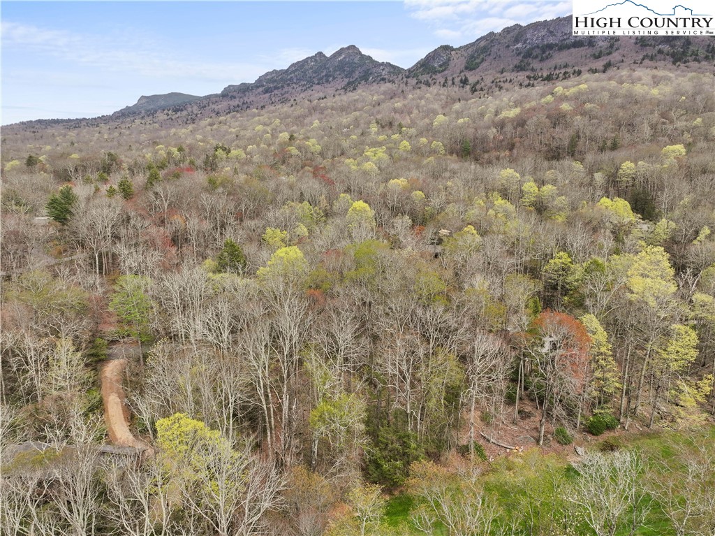 Bear Creek Road Linville, NC 28646 - Photo 7 of 7 a view of a dry yard with mountains in the background