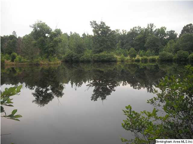 Sardis Road, Unit 1 Lineville, AL 36266 - Photo 20 of 22