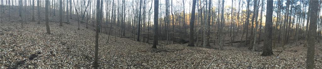 Panoramic picture from build site