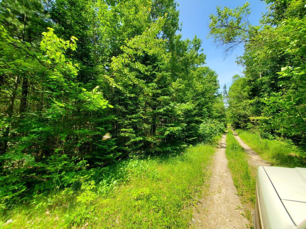 0 Morgan Road Burnham, ME 04922 - Photo 35 of 69 20250617_124223