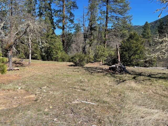 Kinney Cr Road, Unit 400 Jacksonville, OR 97530 - Photo 6 of 15