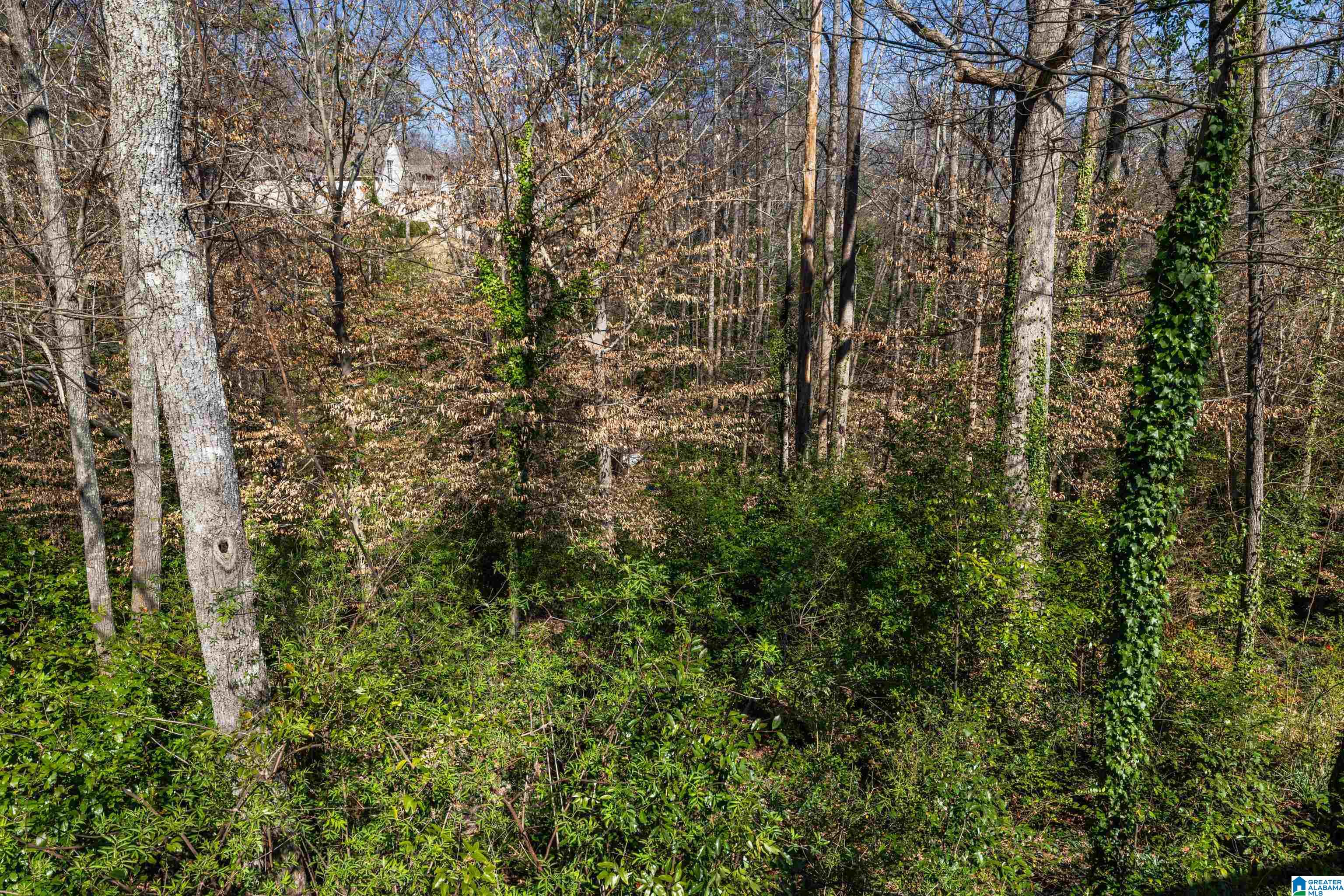 3337 South Brookwood Road Birmingham, AL 35223 - Photo 65 of 76