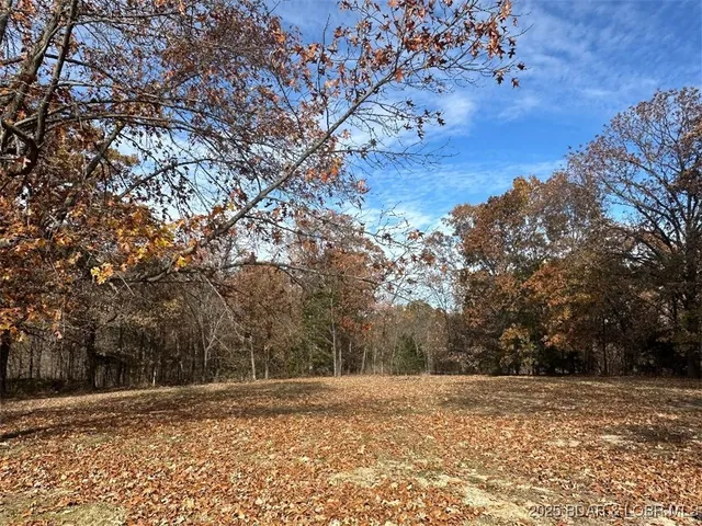 $49,000 | 2770 Sweatt Road, Montreal, MO 65591