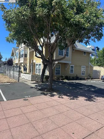 a front view of a house with a tree