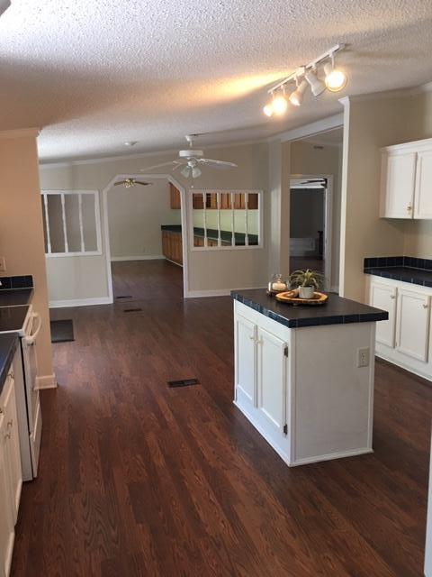 420 County Rd S-18-349 Ridgeville, SC 29472 - Photo 8 of 49 Great entertaining kitchen