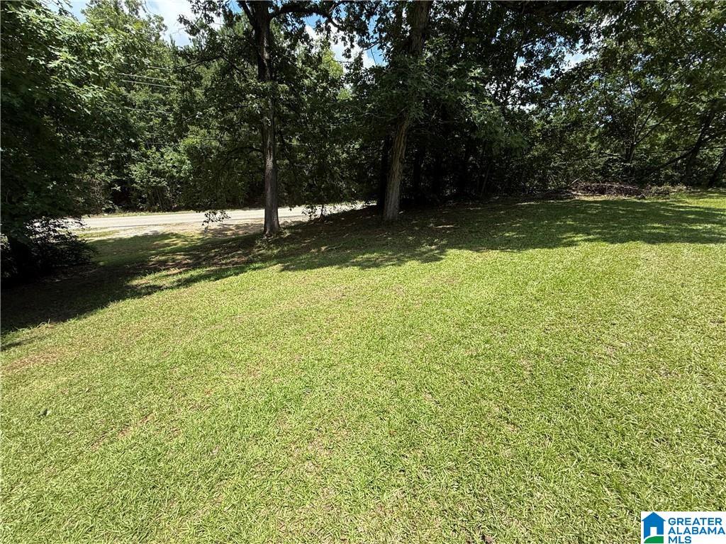 11764 Covered Bridge Road Brookwood, AL 35444 - Photo 16 of 23