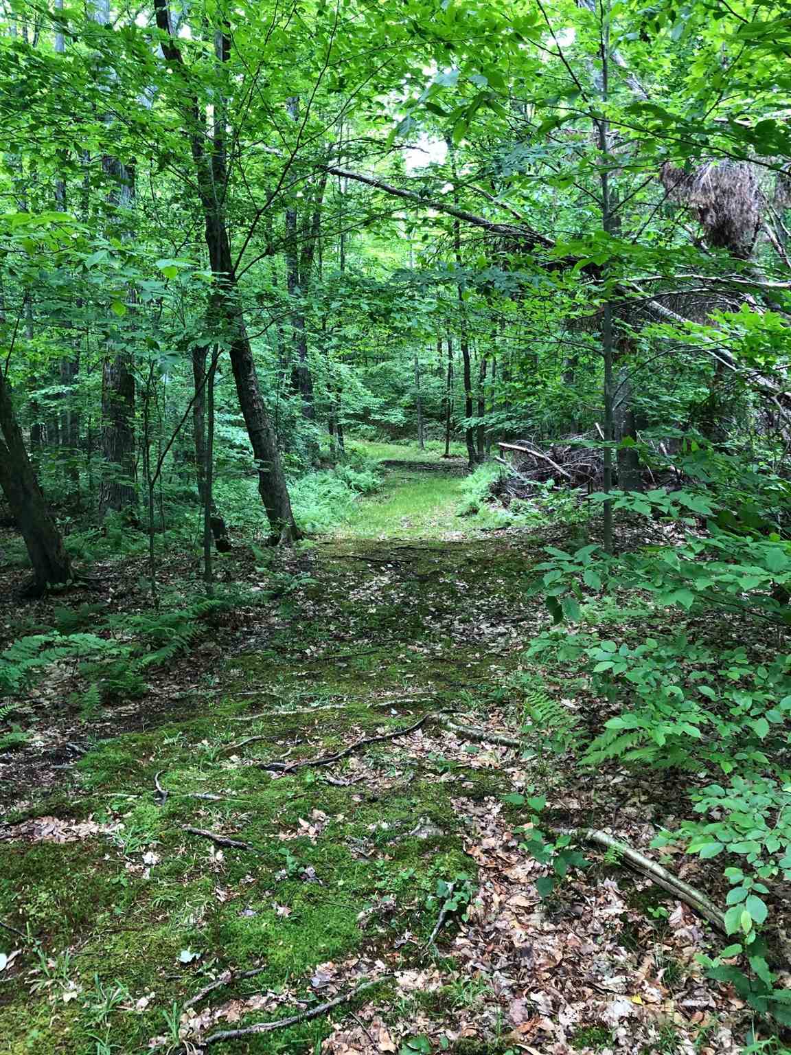 613 Beaver Brook Road Pawlet, VT 05761 - Photo 12 of 40 Gallery Image 12