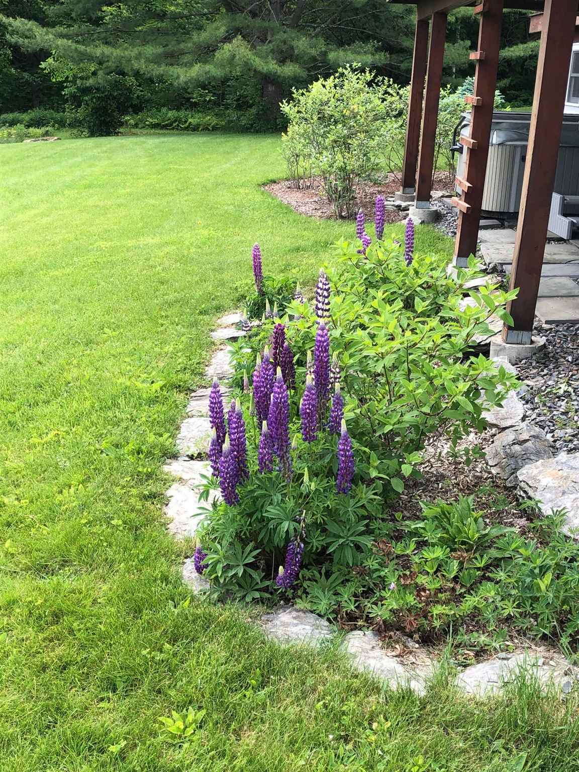 613 Beaver Brook Road Pawlet, VT 05761 - Photo 9 of 40 Gallery Image 9