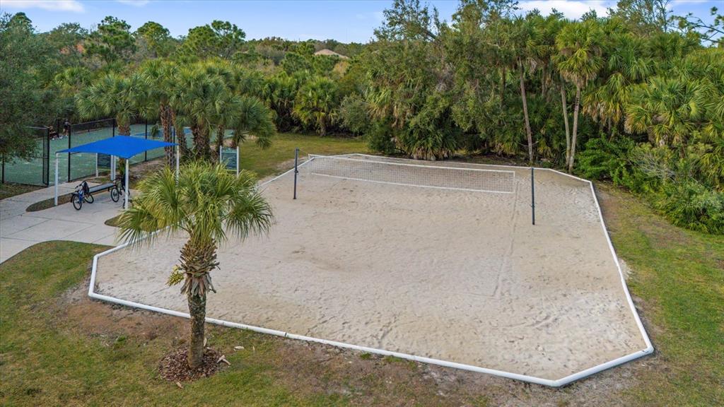 13153 Steinhatchee Loop Venice, FL 34293 - Photo 28 of 33 a view of a yard