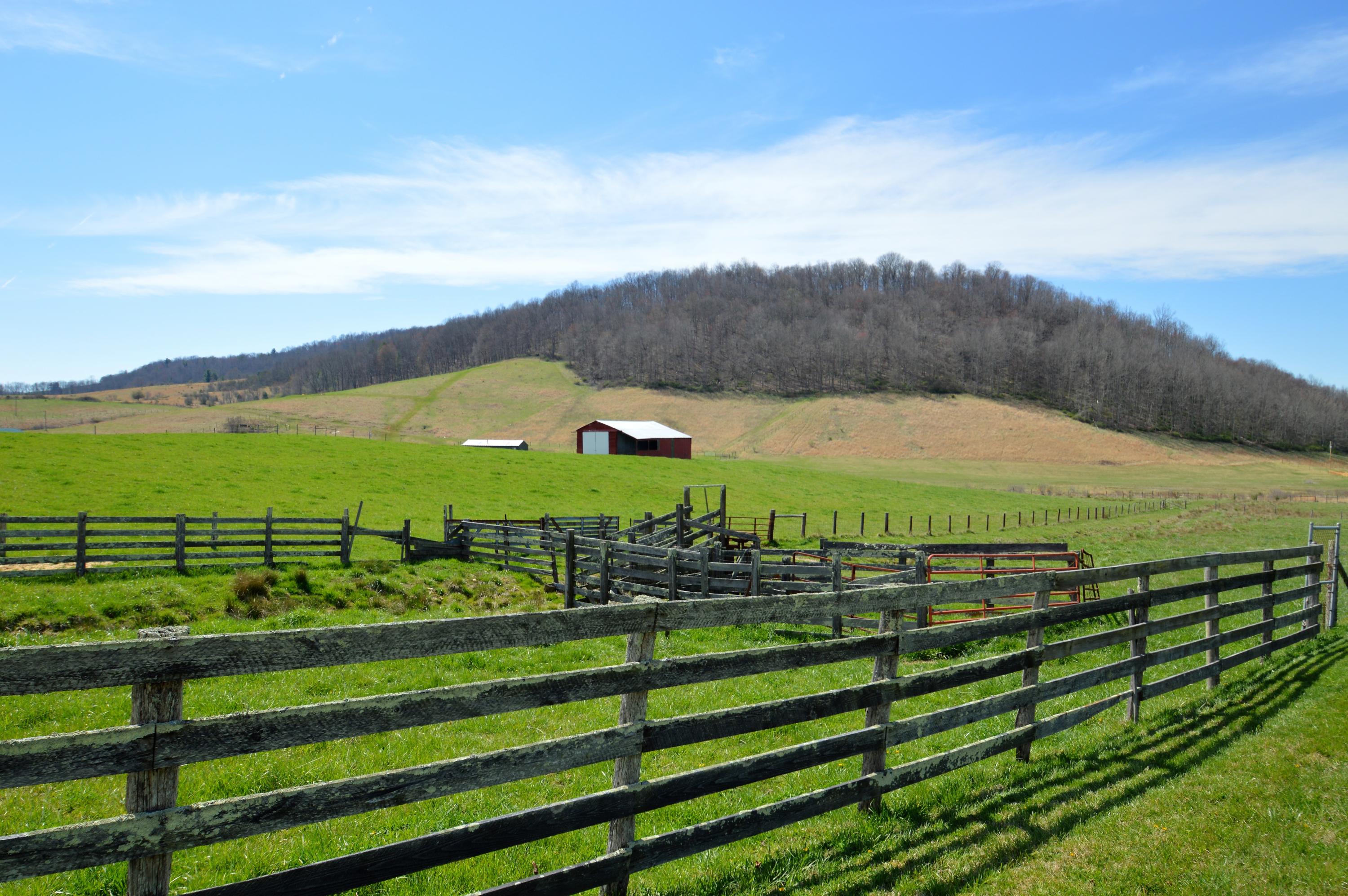 426 Poor Farm Road Southeast Floyd, VA 24091 - Photo 4 of 40 a view of a city