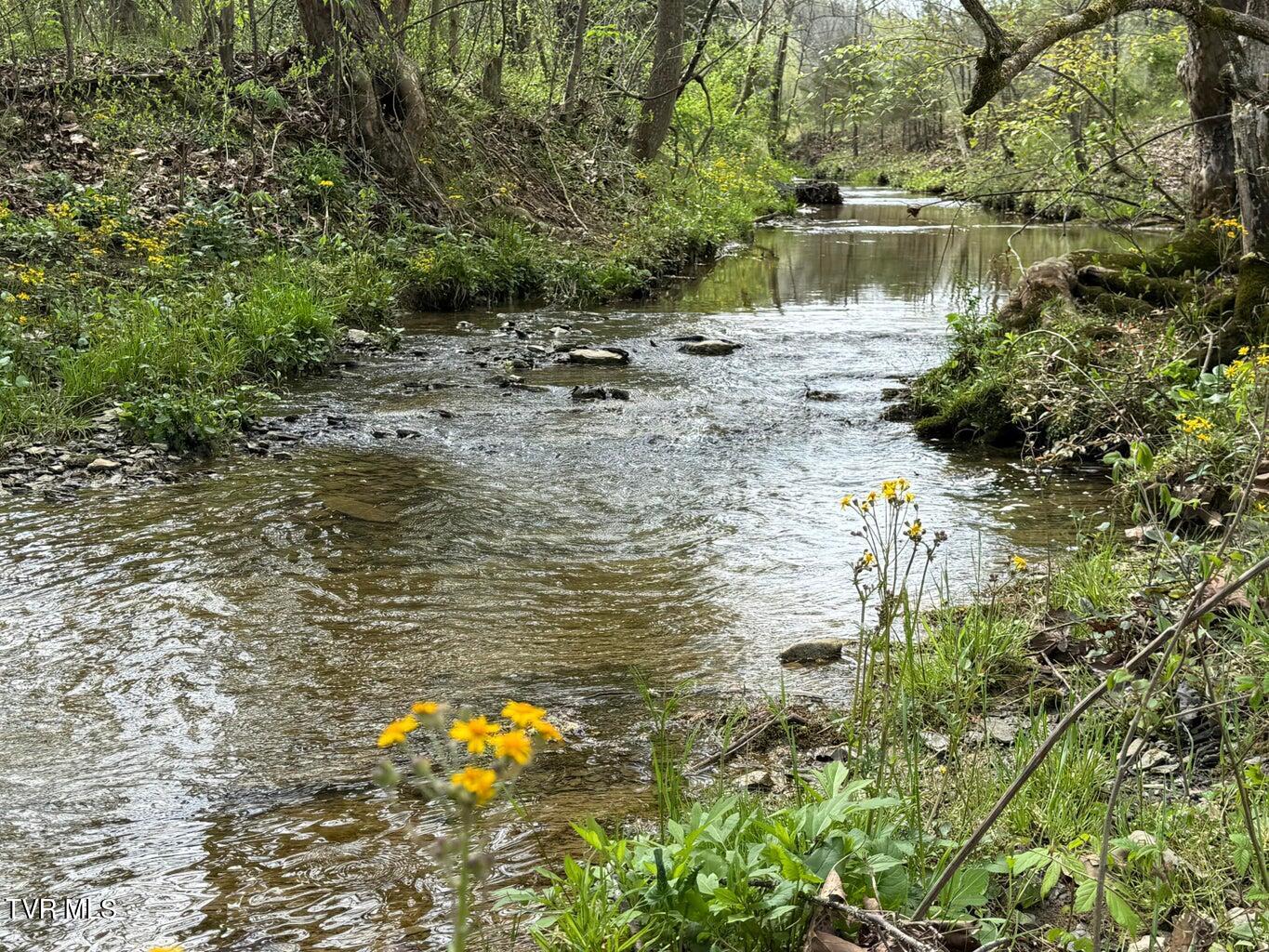 0 Longtown Road Bulls Gap, TN 37711 - Photo 15 of 34 20250417183800191035000000-o