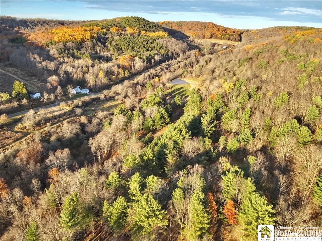 8 Co Road Friendship, NY 14739 - Photo 10 of 25