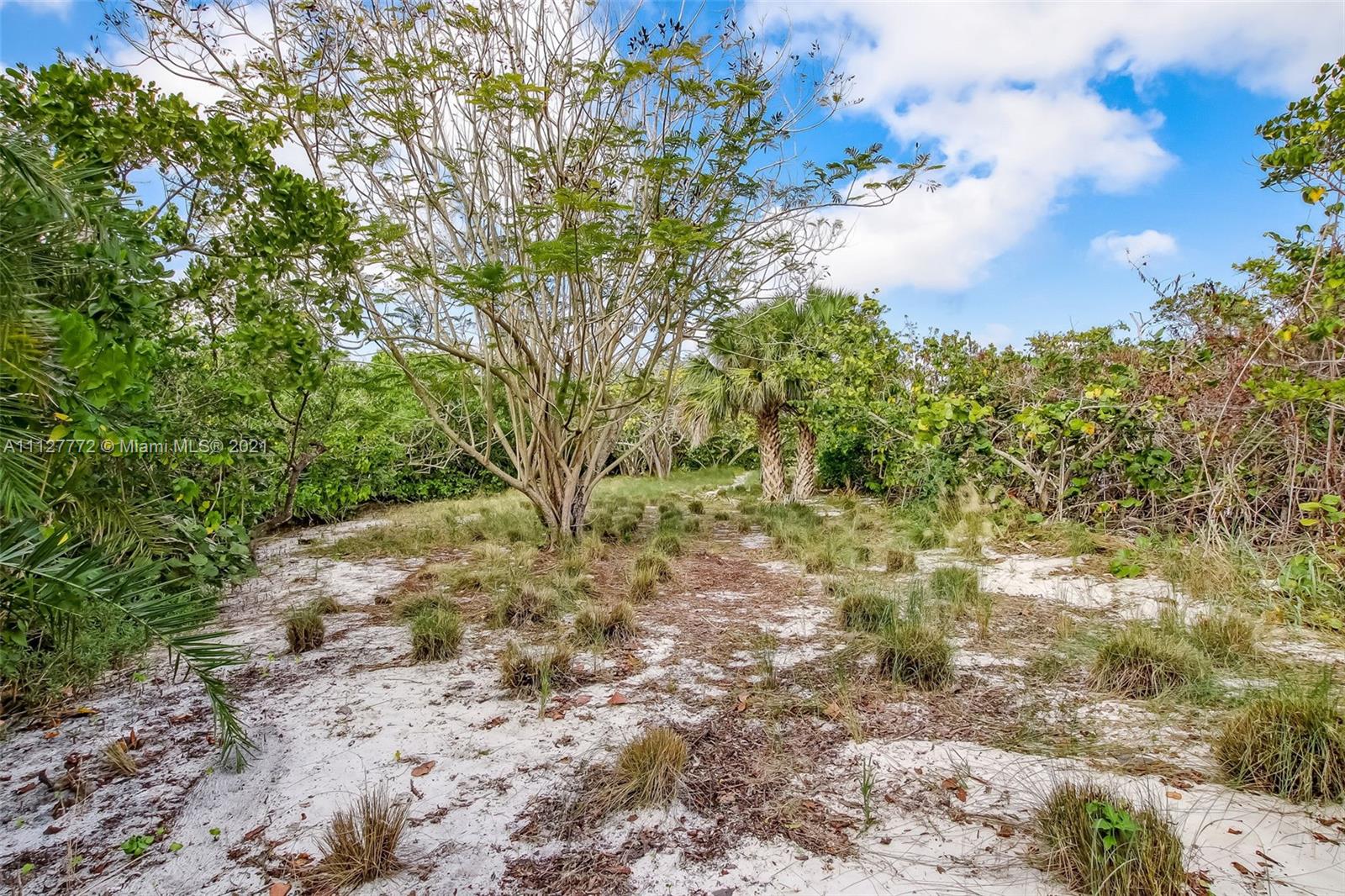 148-150 South Sewalls Point Road Stuart, FL 34996 - Photo 28 of 59 a view of a yard with plants and trees