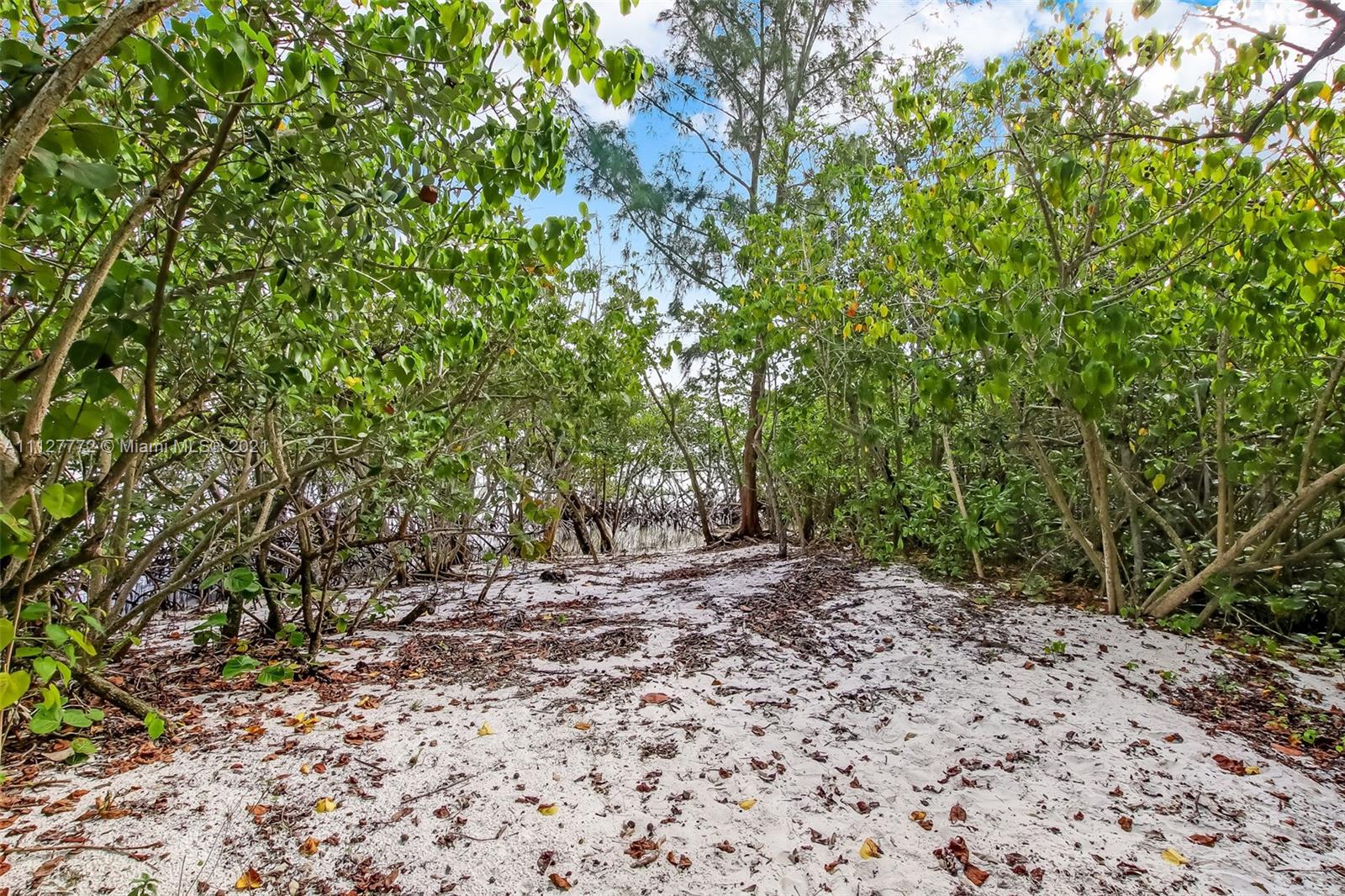 148-150 South Sewalls Point Road Stuart, FL 34996 - Photo 29 of 59 a view of a yard with plants and trees
