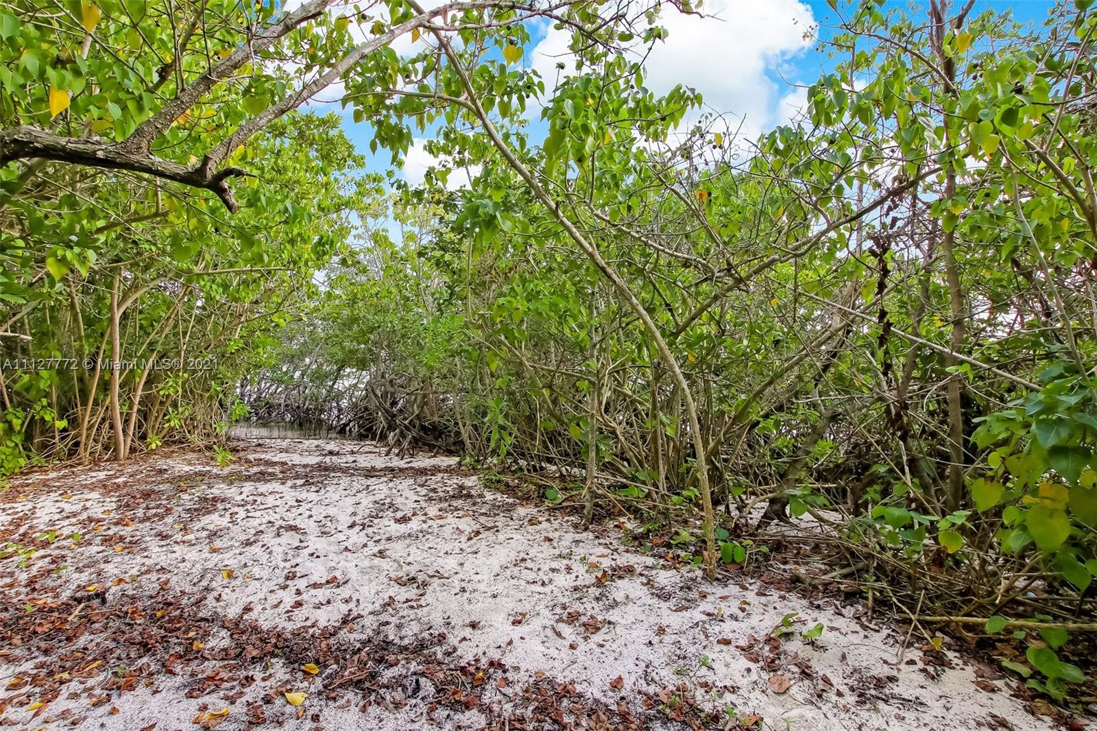 148-150 South Sewalls Point Road Stuart, FL 34996 - Photo 30 of 59 a view of a yard with plants and trees