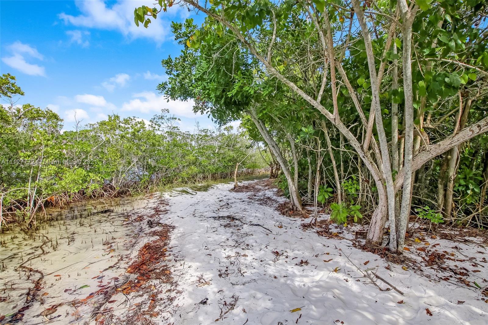 148-150 South Sewalls Point Road Stuart, FL 34996 - Photo 31 of 59 a view of a forest filled with trees