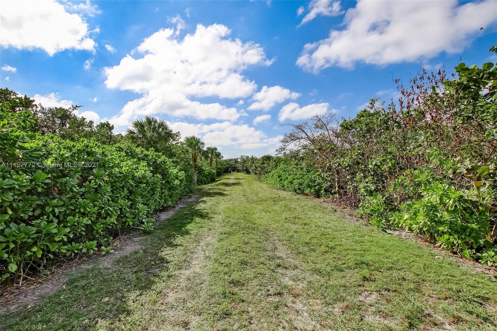 148-150 South Sewalls Point Road Stuart, FL 34996 - Photo 34 of 59 a view of a bunch of trees