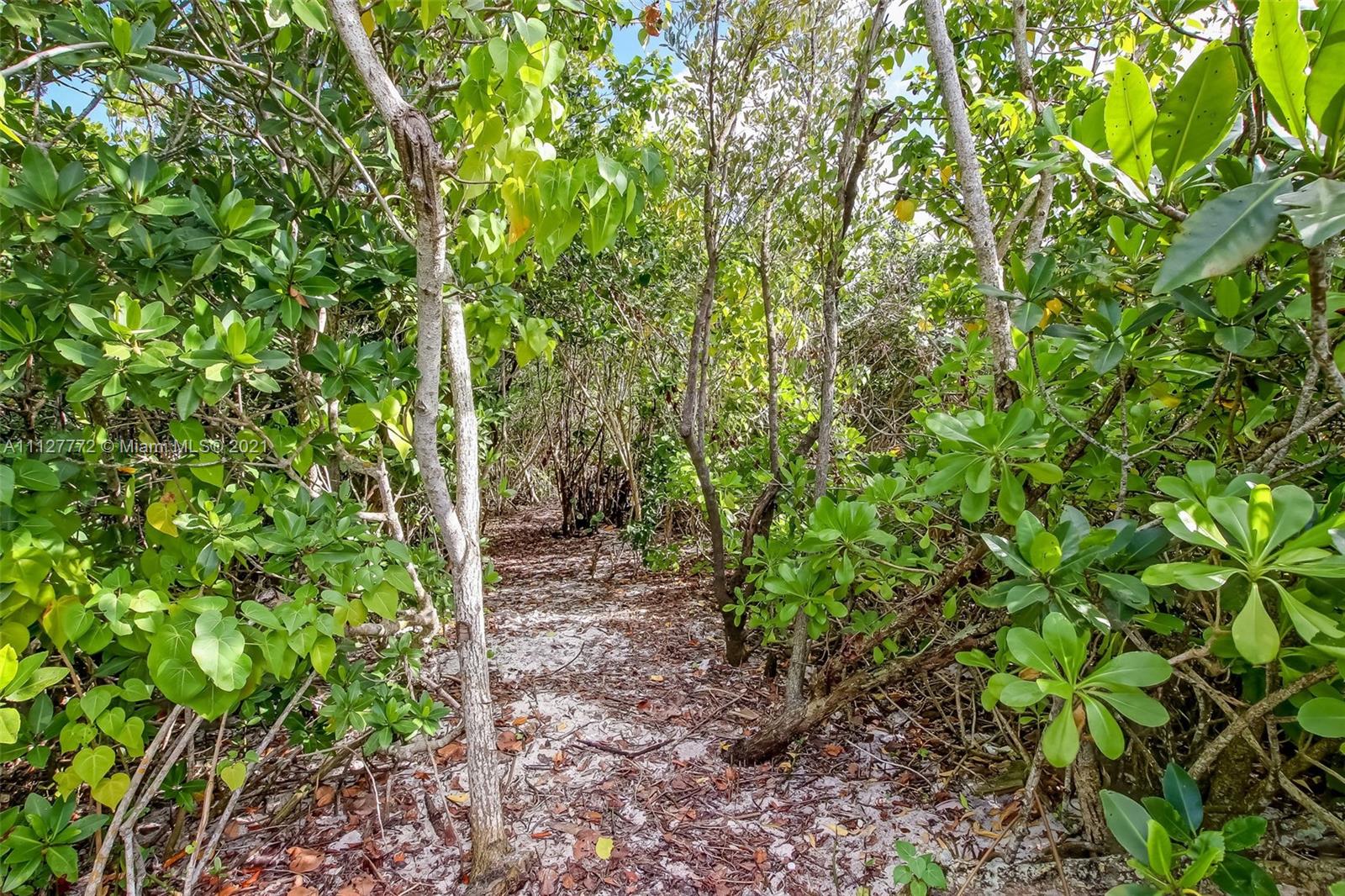 148-150 South Sewalls Point Road Stuart, FL 34996 - Photo 36 of 59 a backyard of a house with lots of green space