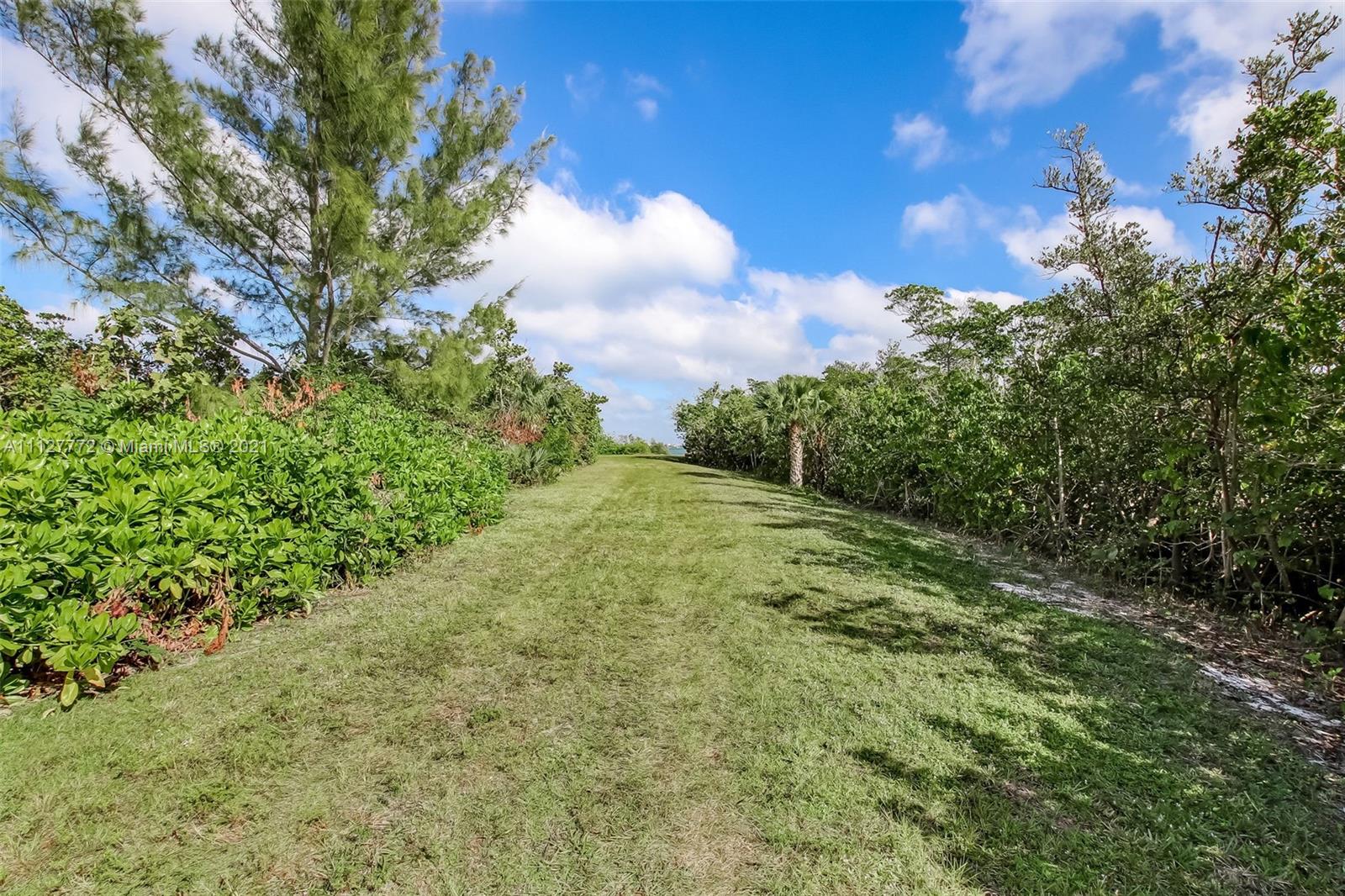 148-150 South Sewalls Point Road Stuart, FL 34996 - Photo 9 of 59 a view of a yard with an trees