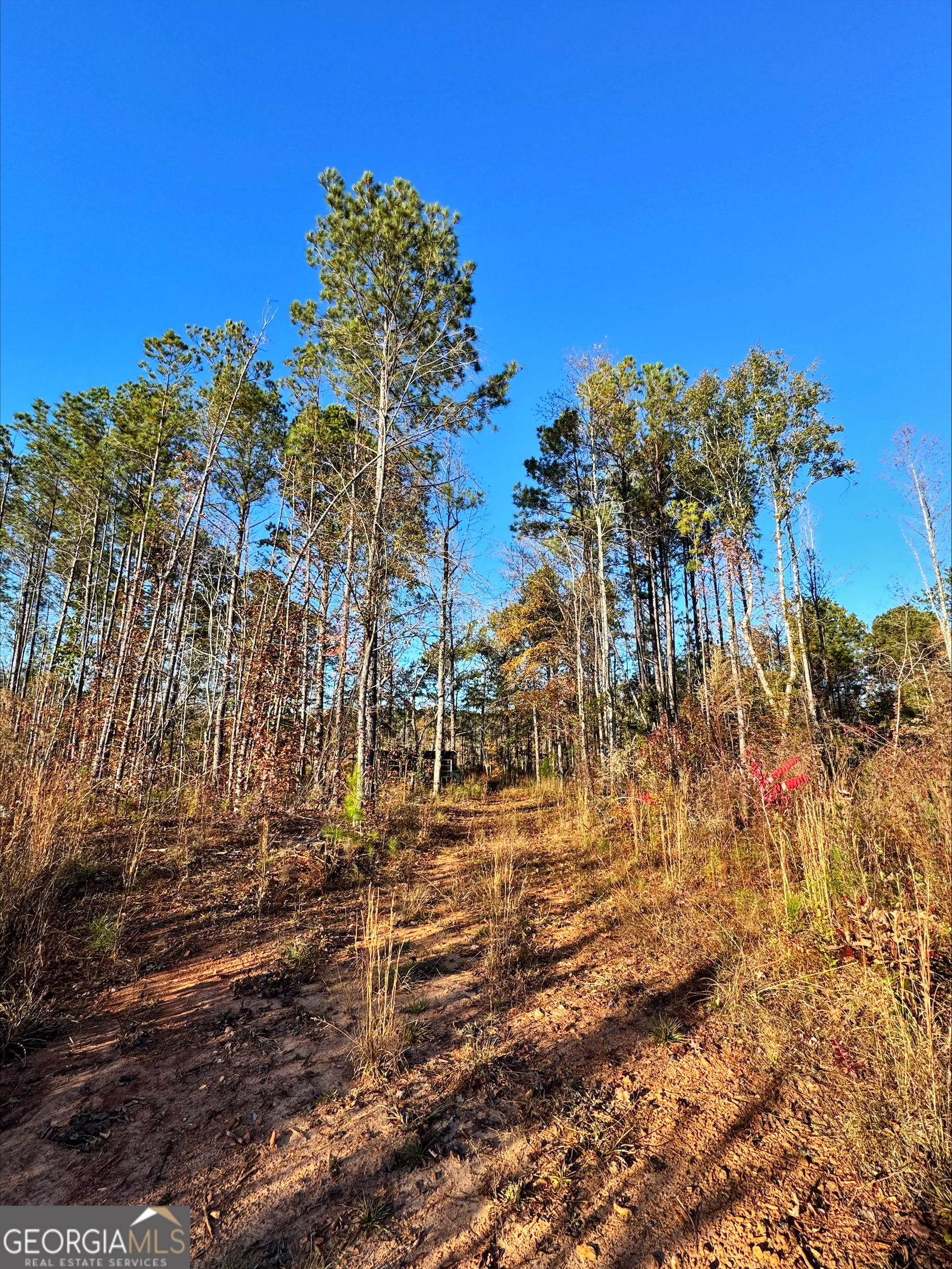 0 County Rd 222 Lanett, AL 36863 - Photo 4 of 5 a view of outdoor space with city view