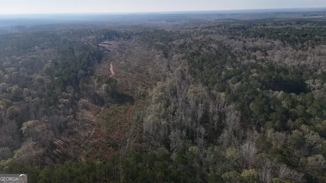 $223,610 | 0 County Rd 222, Lanett, AL 36863