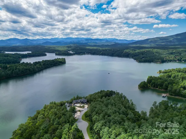 a view of a street with potted plants and large trees