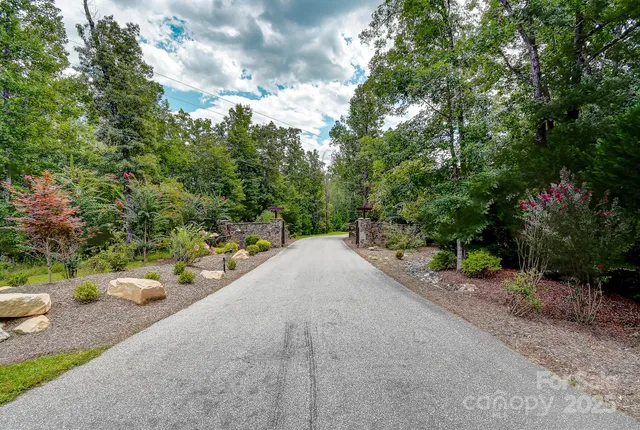 a road view with a couple of trees