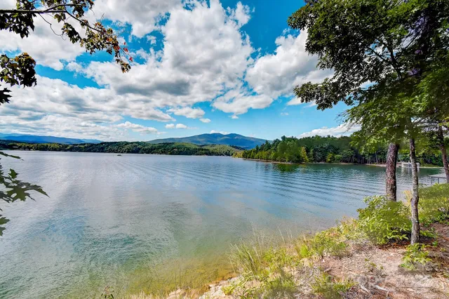 a view of outdoor space and trees