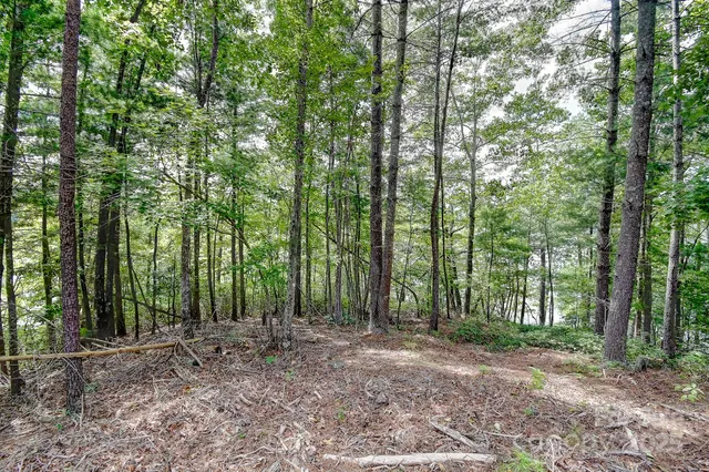 $750,000 | 131 West Point Drive, Marion, NC 28752