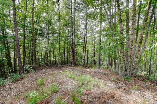 $750,000 | 131 West Point Drive, Marion, NC 28752