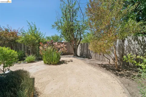 a view of a backyard with plants and garden