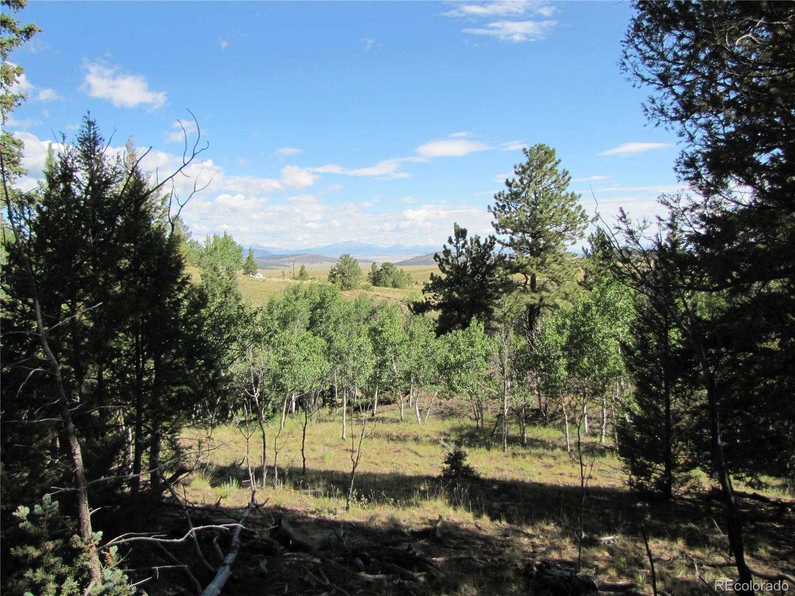 3010 Campfire Road Hartsel, CO 80449 - Photo 1 of 23 a view of a lake with houses