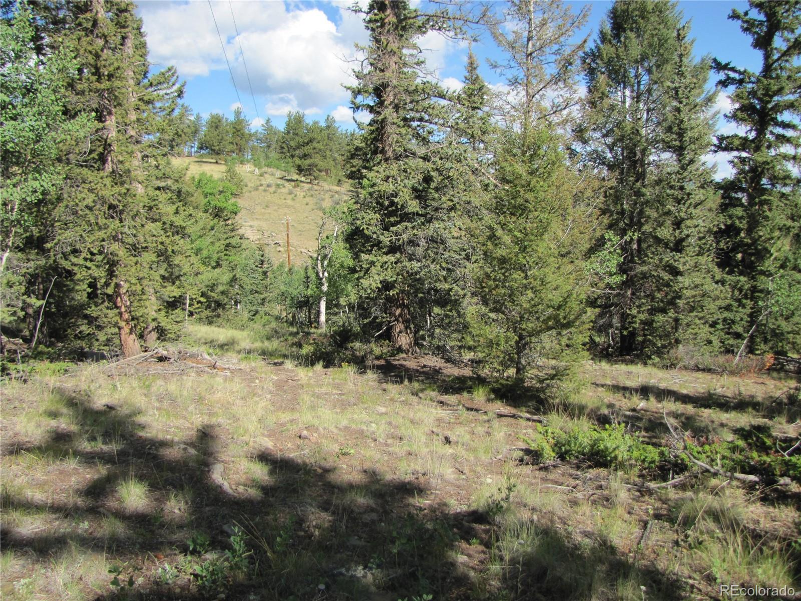 3010 Campfire Road Hartsel, CO 80449 - Photo 12 of 23 a view of a yard with large trees
