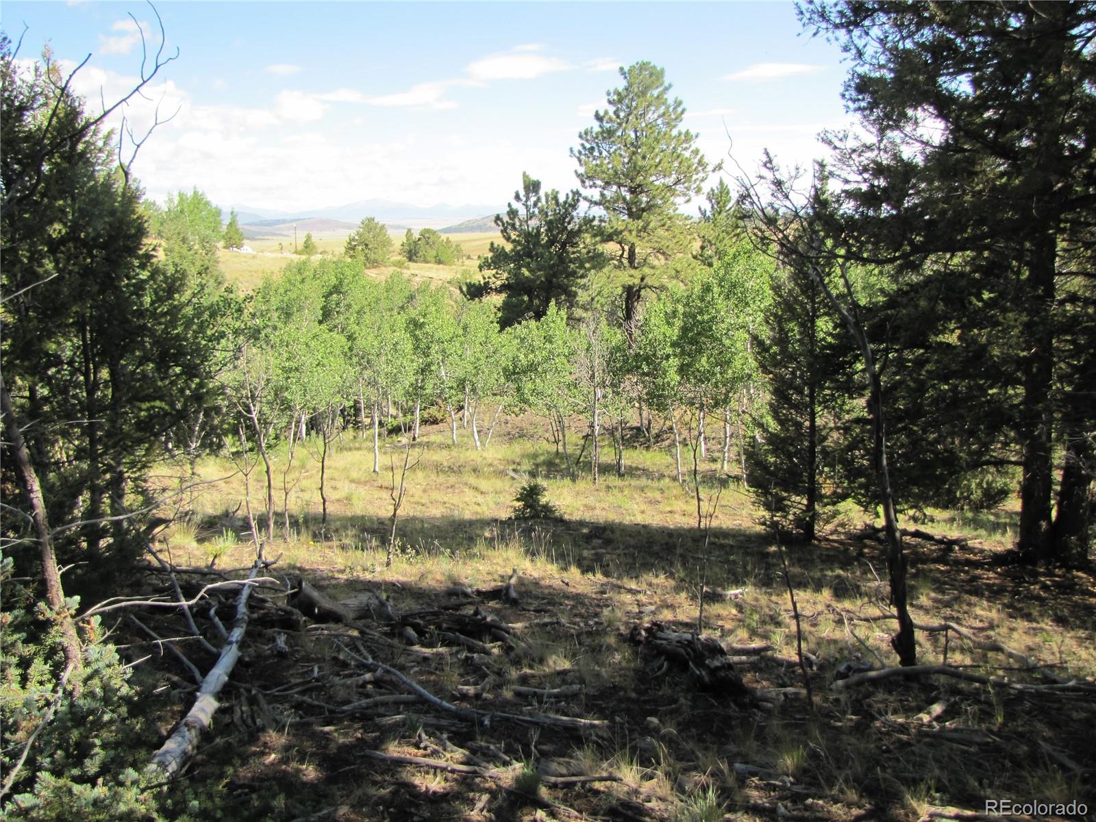 3010 Campfire Road Hartsel, CO 80449 - Photo 15 of 23 a view of a lake view