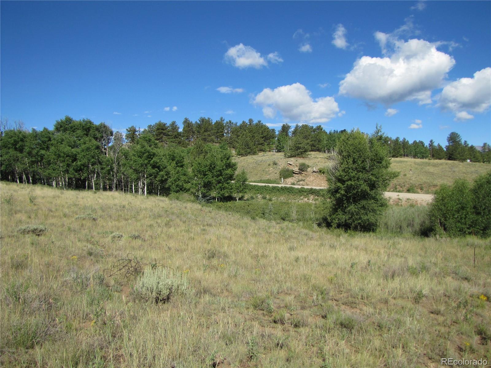 3010 Campfire Road Hartsel, CO 80449 - Photo 2 of 23 a view of a big yard with lots of green space