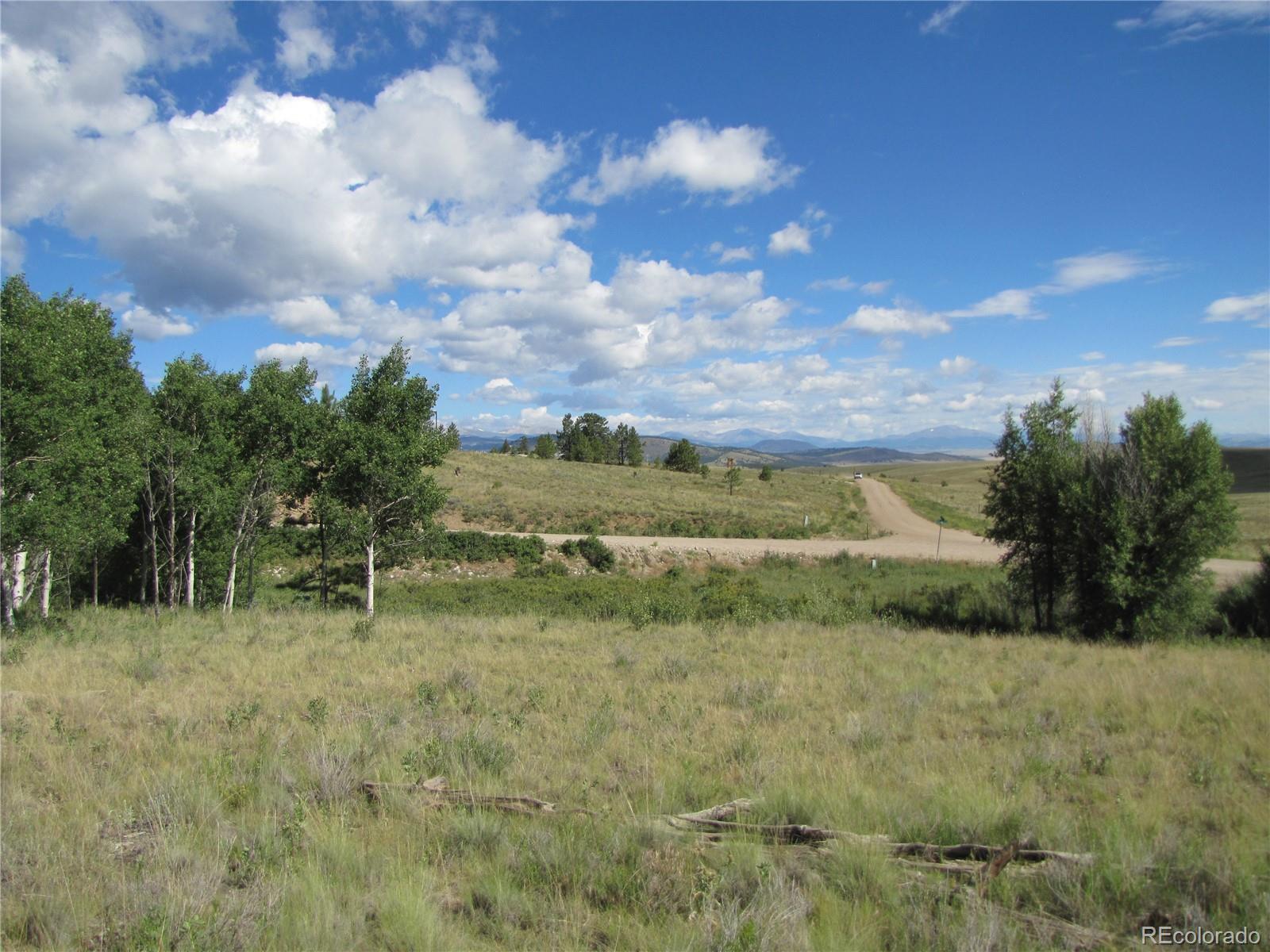 3010 Campfire Road Hartsel, CO 80449 - Photo 23 of 23 a view of a field with an trees