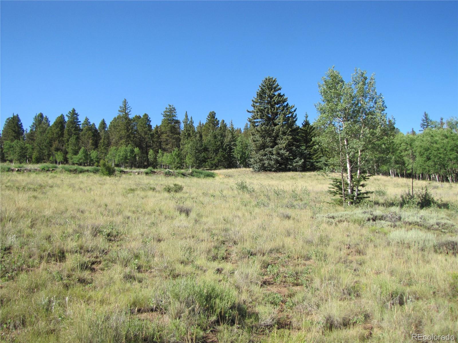 3010 Campfire Road Hartsel, CO 80449 - Photo 7 of 23 a view of a field with trees in the background