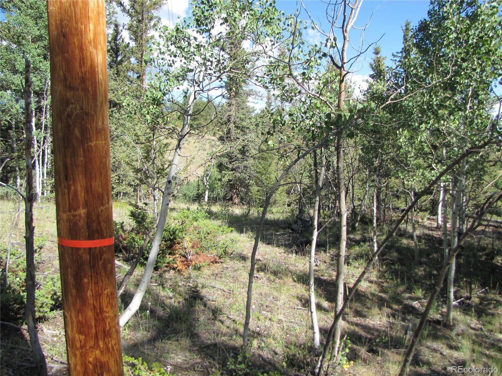 3010 Campfire Road Hartsel, CO 80449 - Photo 9 of 23 a backyard of a house with lots of green space