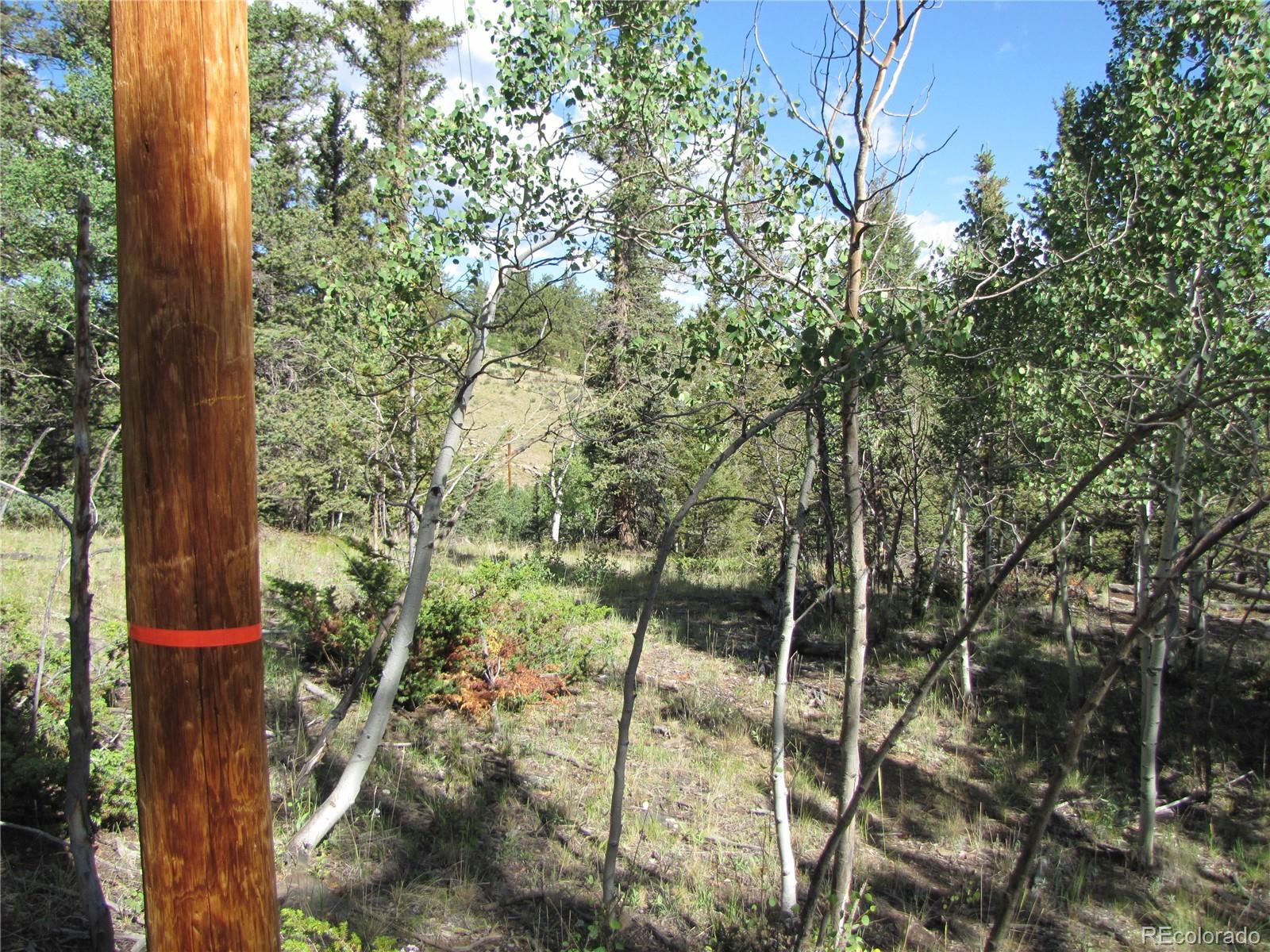 3010 Campfire Road Hartsel, CO 80449 - Photo 10 of 23 a view of forest