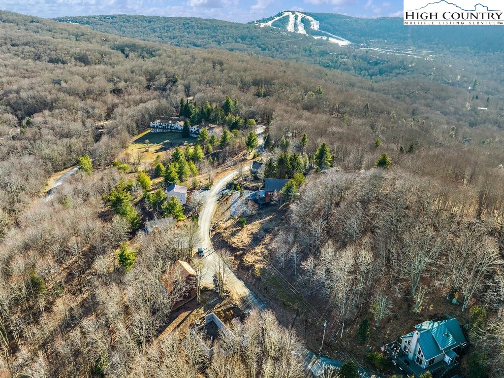 110 Windridge Road Beech Mountain, NC 28604 - Photo 27 of 32 Gallery Image 27