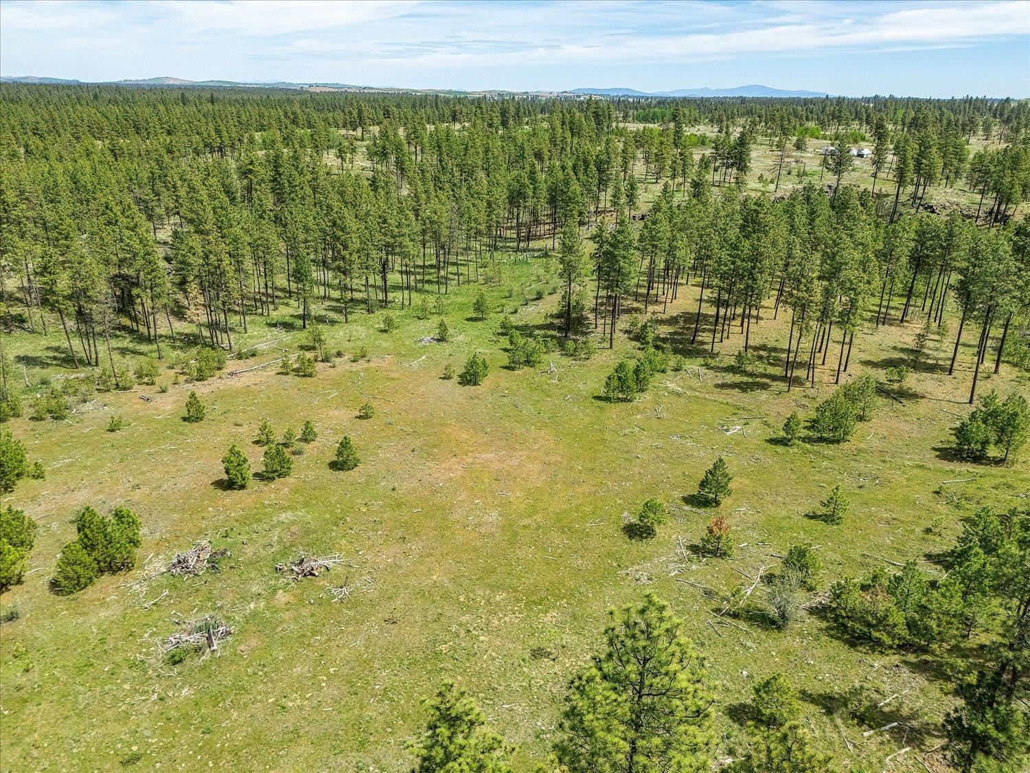 23755 South Ritchey Road Cheney, WA 99004 - Photo 16 of 34