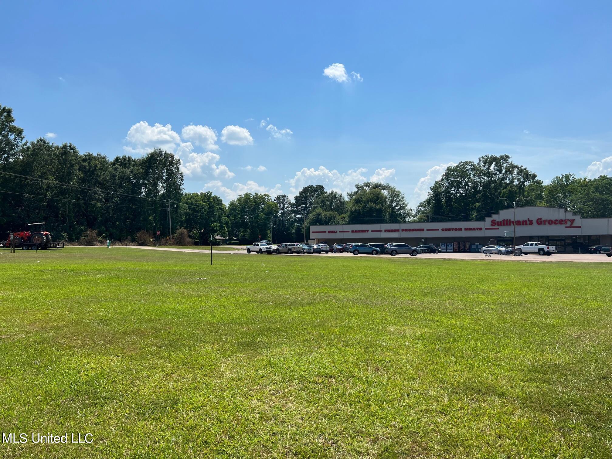 Progress Drive Flora, MS 39071 - Photo 6 of 7 IMG_7541