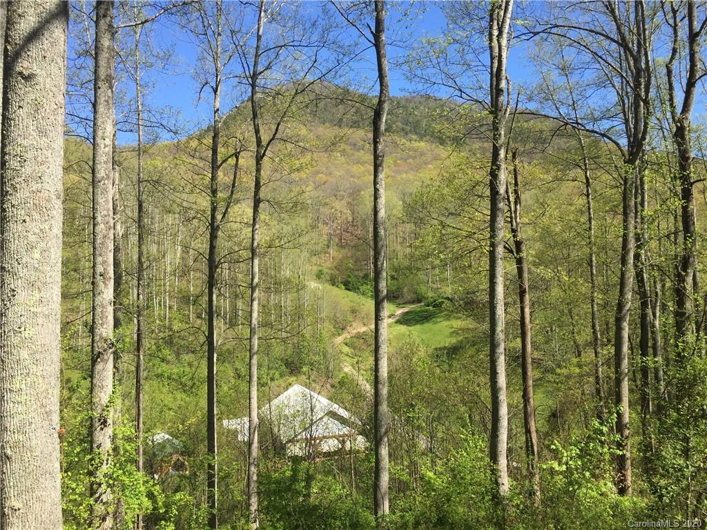 84 Brahma Ridge Candler, NC 28715 - Photo 29 of 30 a view of a bathroom