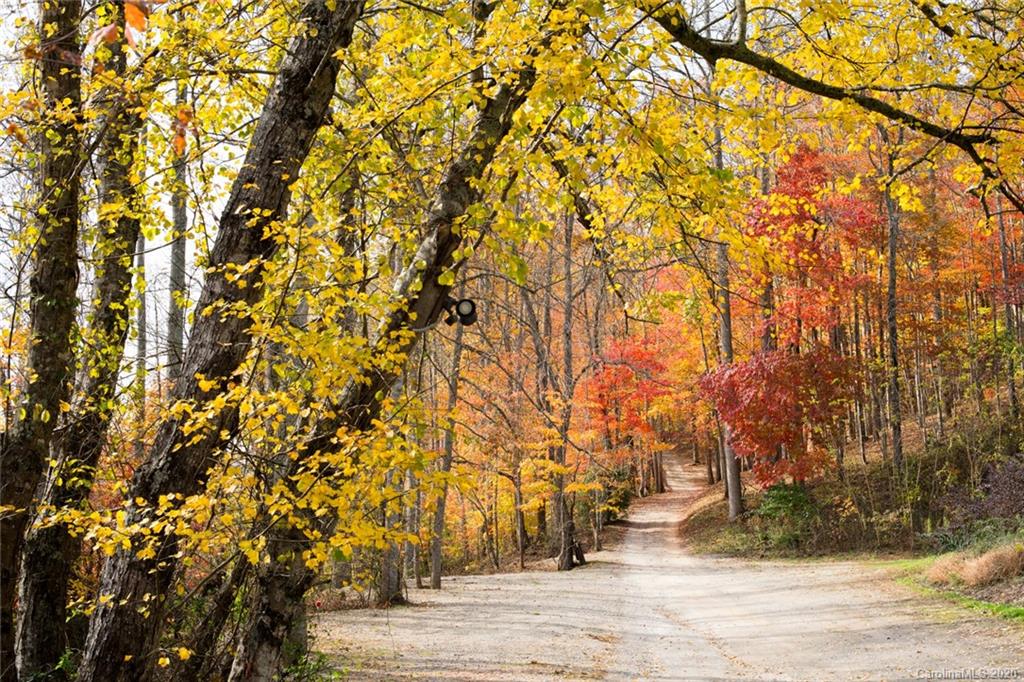 84 Brahma Ridge Candler, NC 28715 - Photo 30 of 30