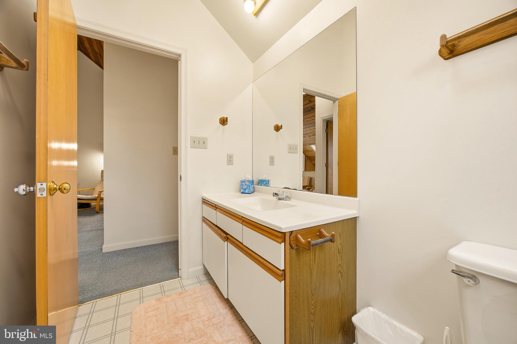 16 Gopher Trail Berkeley Springs, WV 25411 - Photo 32 of 52 a bathroom with a sink a toilet and a mirror